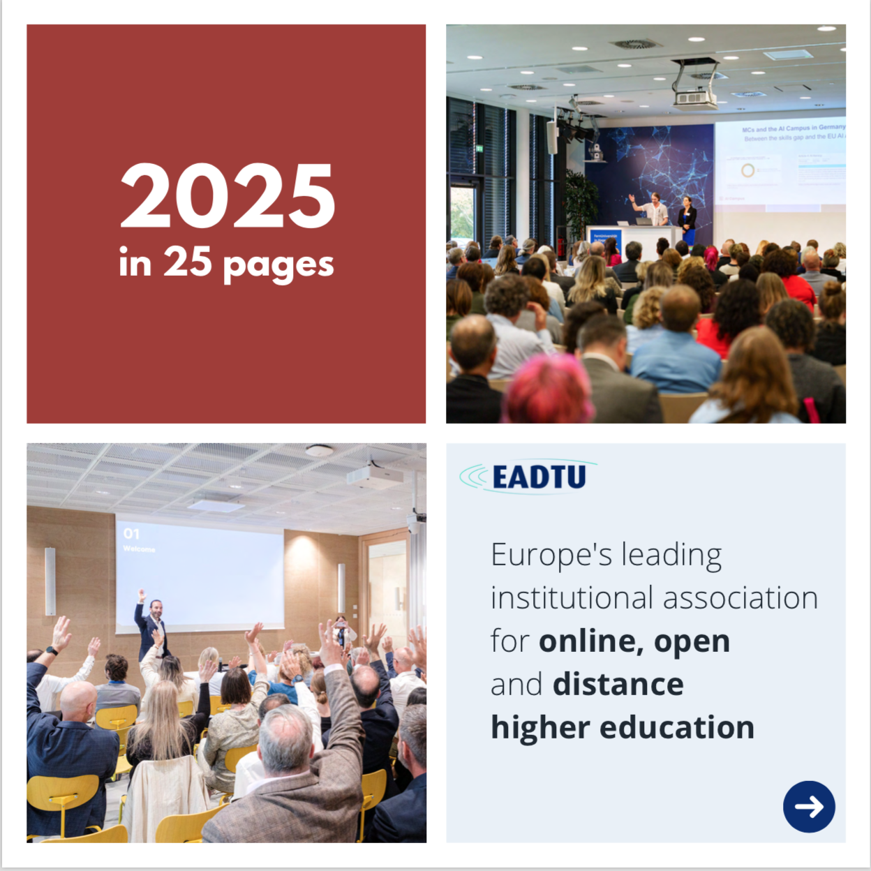 images decoratives + texte 25 pages + La principale association institutionnelle européenne pour l'enseignement supérieur en ligne, ouvert et à distance