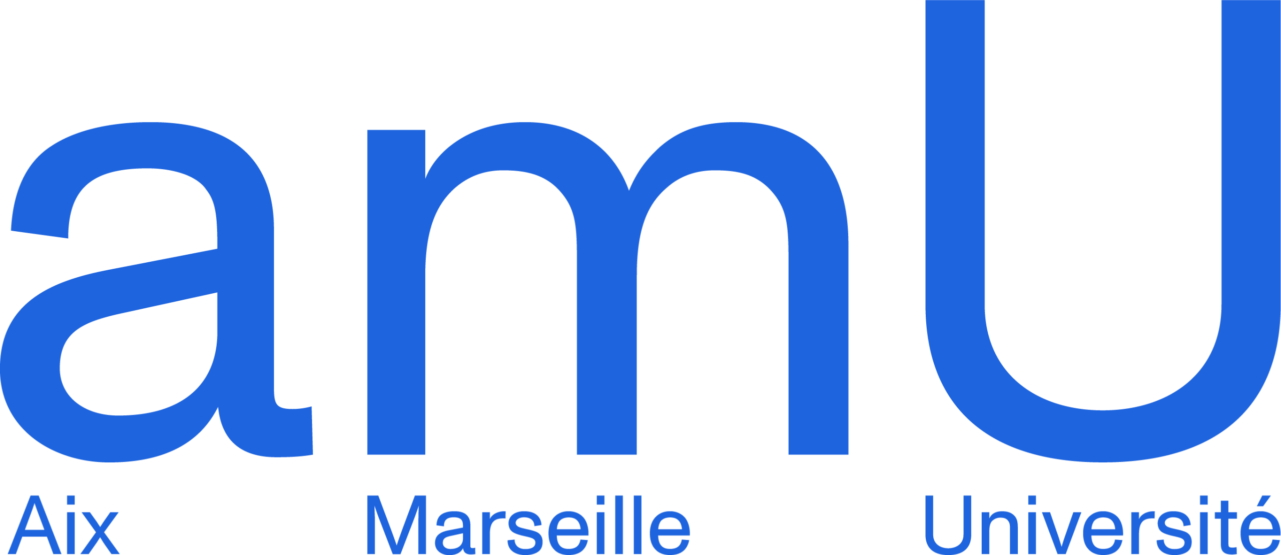 AMU Logotype Bleu